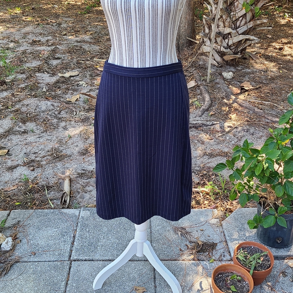 Banana Republic Knit Pinstripe Skirt